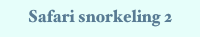 Safari snorkeling 2